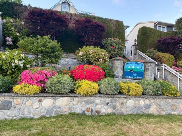 Ocean Breeze Executive Bed And Breakfast North Vancouver Dış mekan fotoğraf
